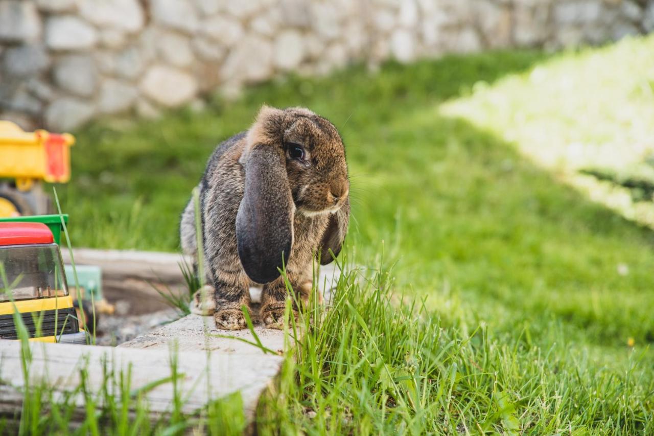 Ferienwohnungen Wiesbauer Schenna Luaran gambar