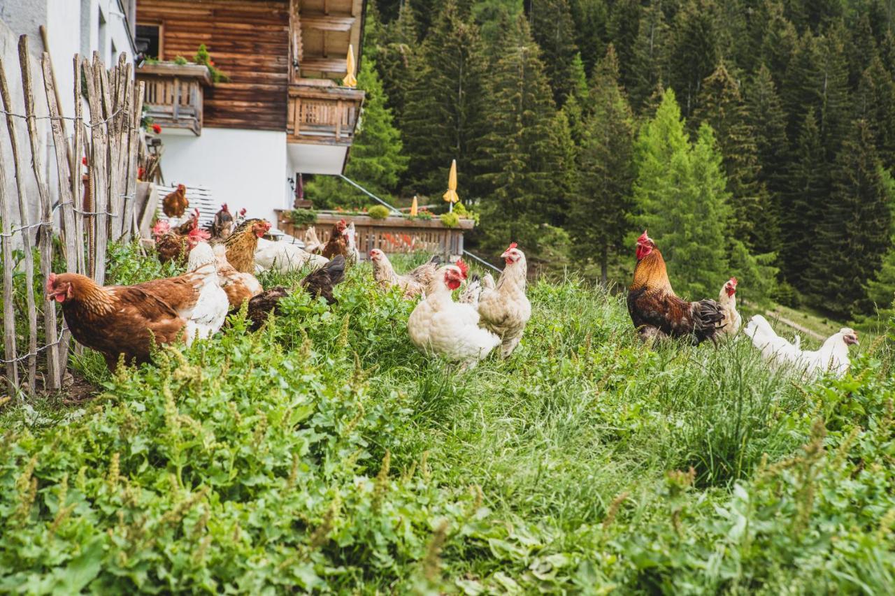 Ferienwohnungen Wiesbauer Schenna Luaran gambar