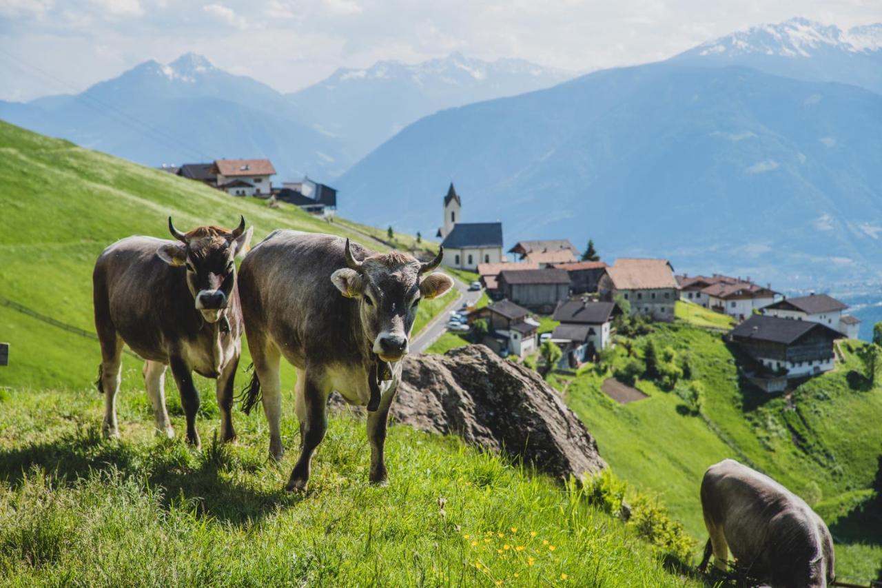 Ferienwohnungen Wiesbauer Schenna Luaran gambar