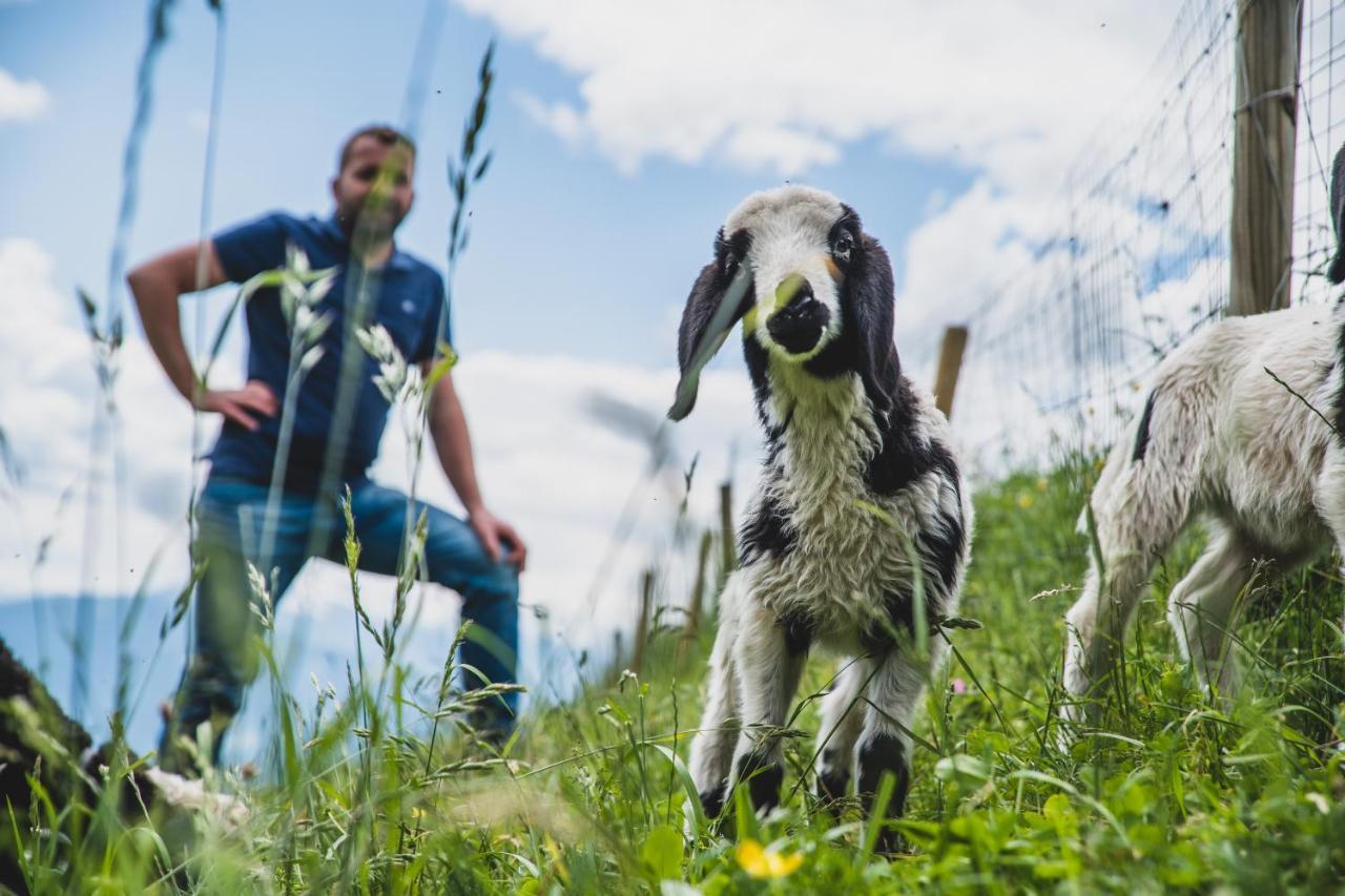 Ferienwohnungen Wiesbauer Schenna Luaran gambar