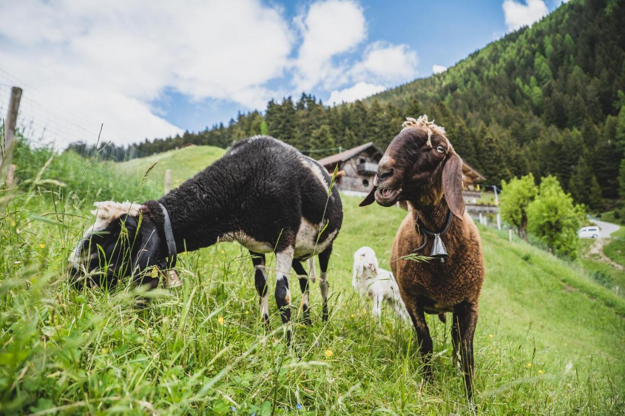 Ferienwohnungen Wiesbauer Schenna Luaran gambar